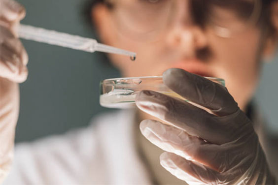 细胞培养皿 细胞培养皿